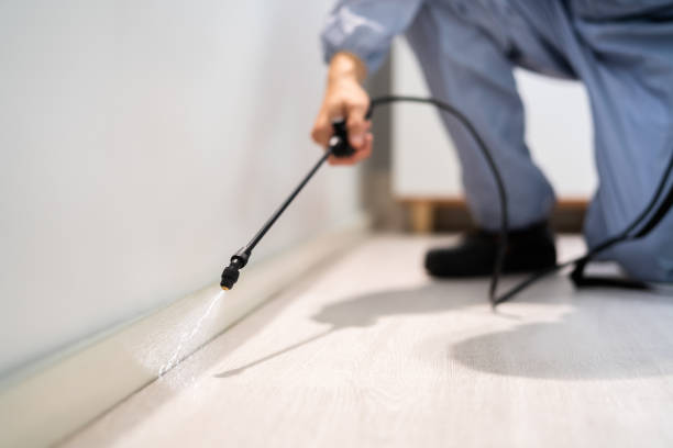 Licensed Termite Control service in Kannapolis, NC - Nex Pest Control