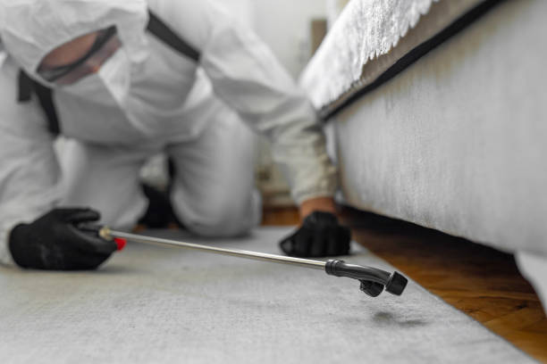 Professional Termite Control technician working in Kannapolis, NC