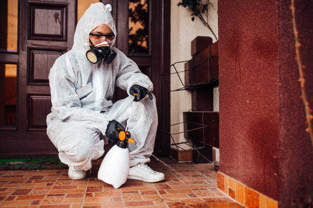 Reliable Termite Control contractor in Kannapolis, NC by Nex Pest Control