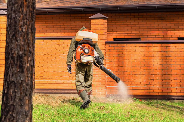Top rated local Termite Control specialists in Kannapolis, NC
